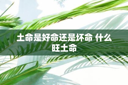 土命是好命还是坏命 什么旺土命
