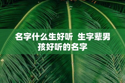 名字什么生好听 生字辈男孩好听的名字