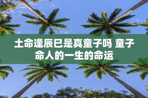 土命逢辰巳是真童子吗 童子命人的一生的命运