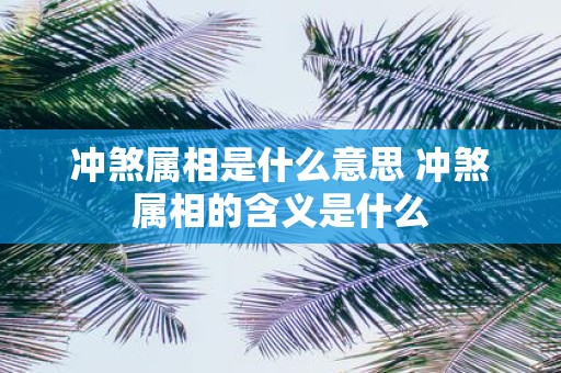 冲煞属相是什么意思 冲煞属相的含义是什么