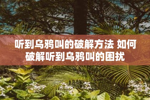 听到乌鸦叫的破解方法 如何破解听到乌鸦叫的困扰