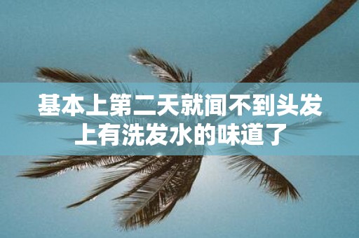 基本上第二天就闻不到头发上有洗发水的味道了
