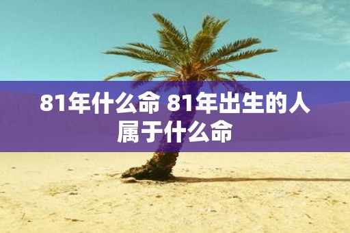 81年什么命 81年出生的人属于什么命
