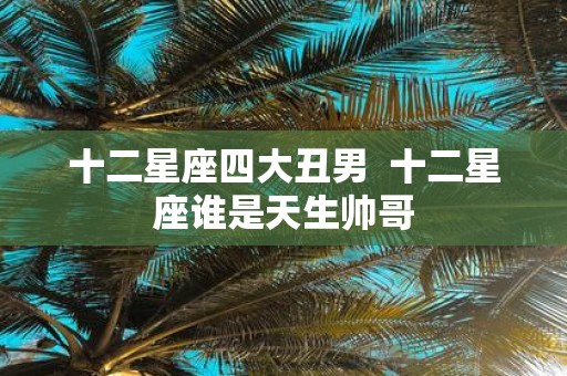 十二星座四大丑男 十二星座谁是天生帅哥