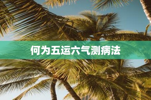 何为五运六气测病法