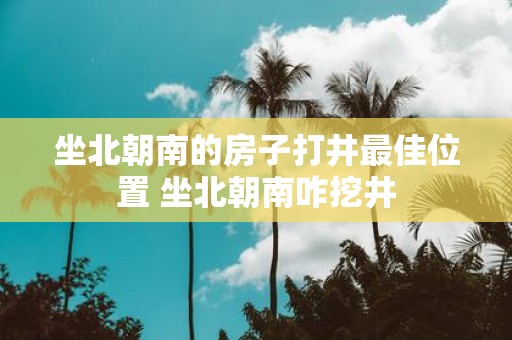 坐北朝南的房子打井最佳位置 坐北朝南咋挖井
