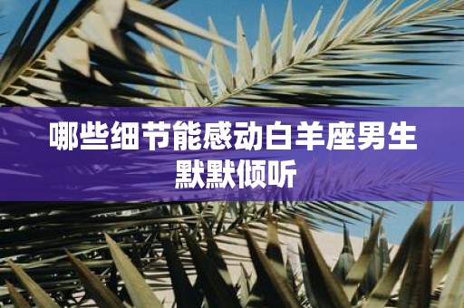 哪些细节能感动白羊座男生 默默倾听