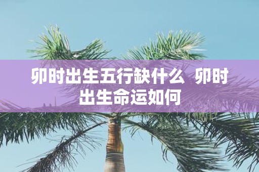 卯时出生五行缺什么 卯时出生命运如何
