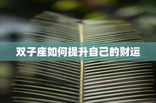 双子座如何提升自己的财运