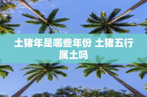 土猪年是哪些年份 土猪五行属土吗