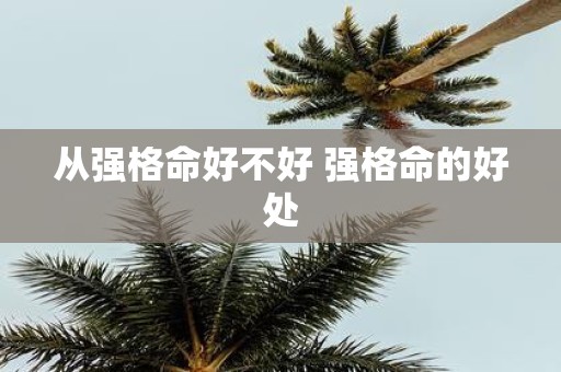 从强格命好不好 强格命的好处