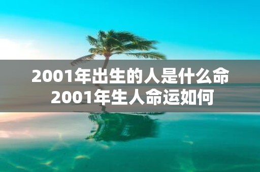 2001年出生的人是什么命 2001年生人命运如何