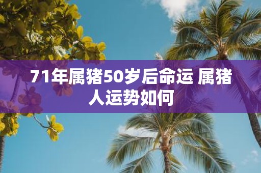 71年属猪50岁后命运 属猪人运势如何