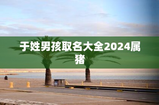 于姓男孩取名大全2025属猪