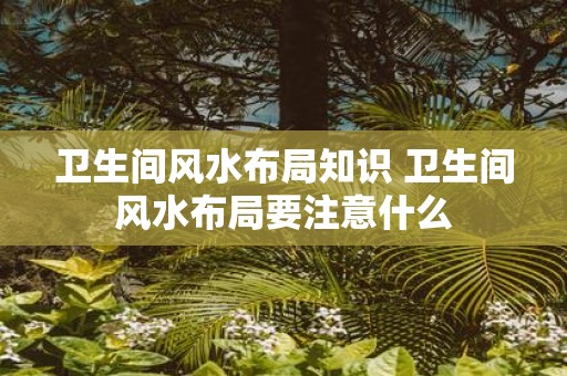 卫生间风水布局知识 卫生间风水布局要注意什么