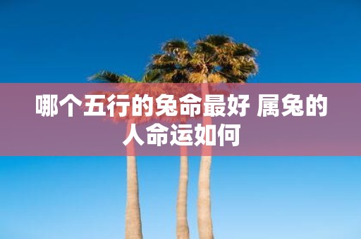 哪个五行的兔命最好 属兔的人命运如何