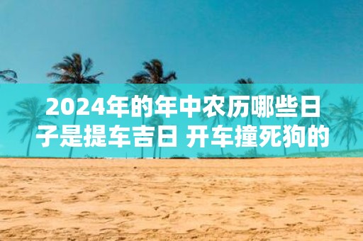 2025年的年中农历哪些日子是提车吉日 开车撞死狗的风水