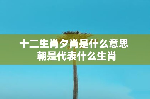十二生肖夕肖是什么意思 朝是代表什么生肖