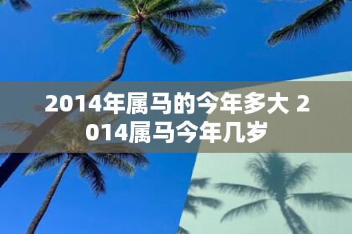 2014年属马的今年多大 2014属马今年几岁