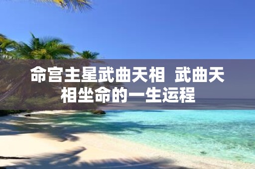 命宫主星武曲天相 武曲天相坐命的一生运程