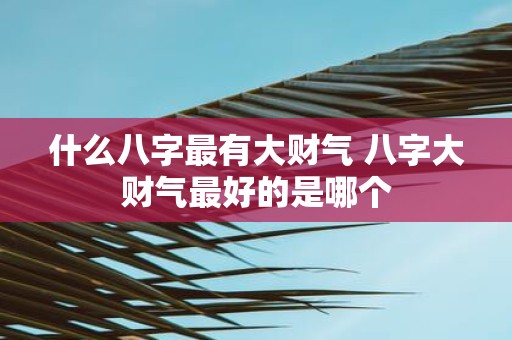 什么八字最有大财气 八字大财气最好的是哪个