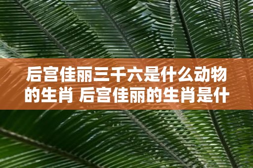 后宫佳丽三千六是什么动物的生肖 后宫佳丽的生肖是什么