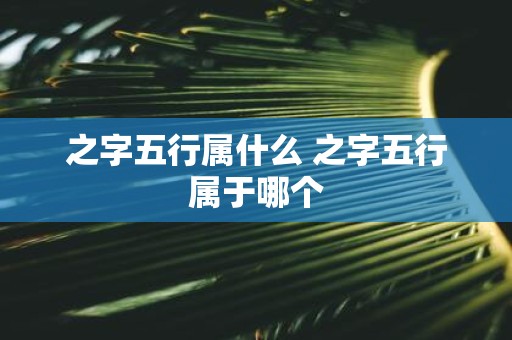 之字五行属什么 之字五行属于哪个