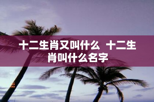 十二生肖又叫什么 十二生肖叫什么名字