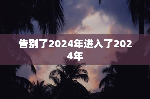 告别了2025年进入了2025年