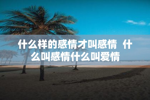 什么样的感情才叫感情 什么叫感情什么叫爱情