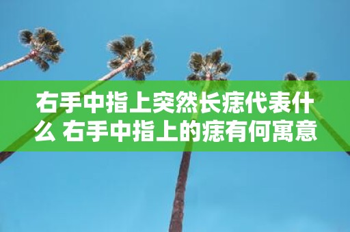 右手中指上突然长痣代表什么 右手中指上的痣有何寓意