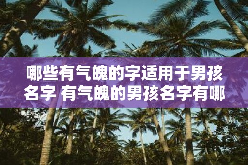 哪些有气魄的字适用于男孩名字 有气魄的男孩名字有哪些