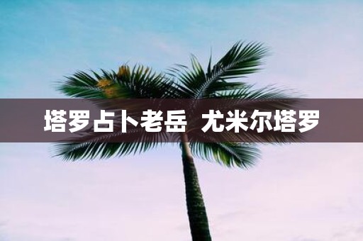 塔罗占卜老岳 尤米尔塔罗