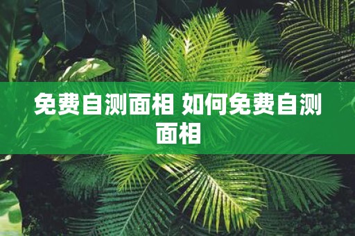 免费自测面相 如何免费自测面相