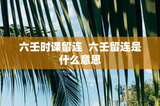 六壬时课留连 六壬留连是什么意思