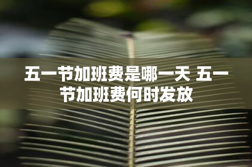 五一节加班费是哪一天 五一节加班费何时发放