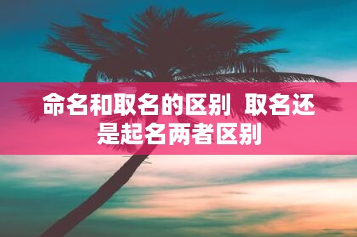 命名和取名的区别 取名还是起名两者区别