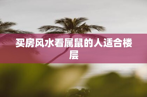 买房风水看属鼠的人适合楼层