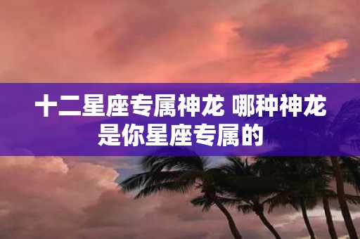 十二星座专属神龙 哪种神龙是你星座专属的