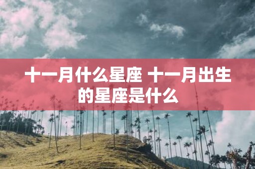 十一月什么星座 十一月出生的星座是什么