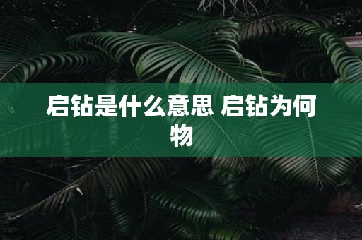 启钻是什么意思 启钻为何物