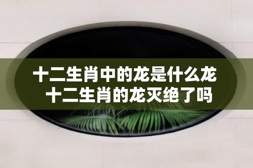 十二生肖中的龙是什么龙 十二生肖的龙灭绝了吗