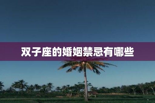 双子座的婚姻禁忌有哪些