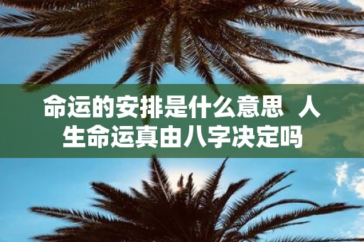 命运的安排是什么意思 人生命运真由八字决定吗