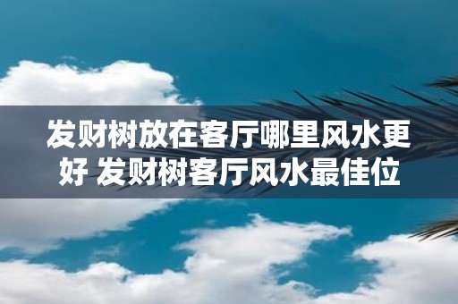 发财树放在客厅哪里风水更好 发财树客厅风水最佳位置