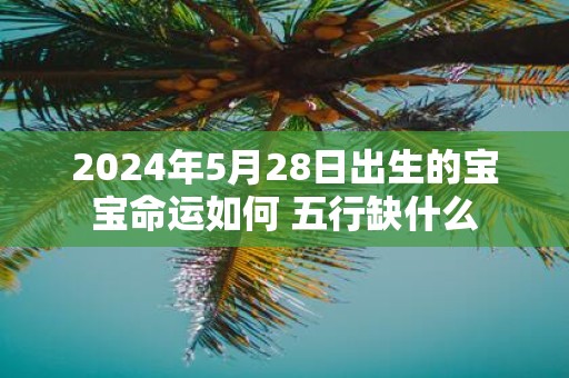 2025年5月28日出生的宝宝命运如何 五行缺什么