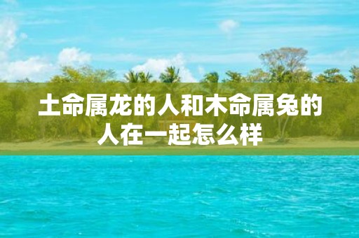 土命属龙的人和木命属兔的人在一起怎么样