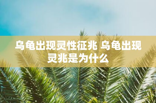 乌龟出现灵性征兆 乌龟出现灵兆是为什么