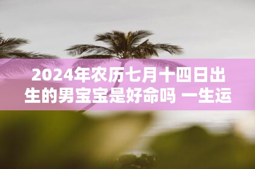 2025年农历七月十四日出生的男宝宝是好命吗 一生运势详解