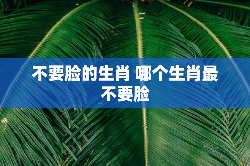 不要脸的生肖 哪个生肖最不要脸
